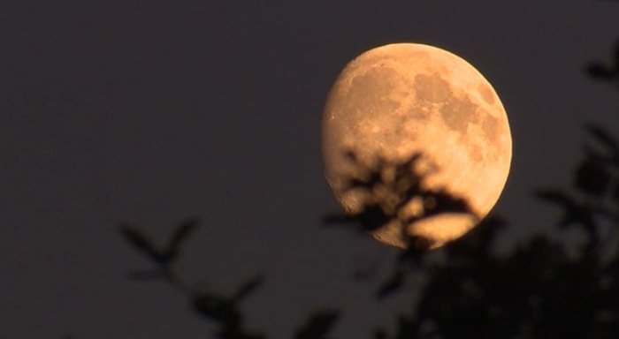 Orlando’s Elusive Supermoon: Why You Might Miss It This Weekend