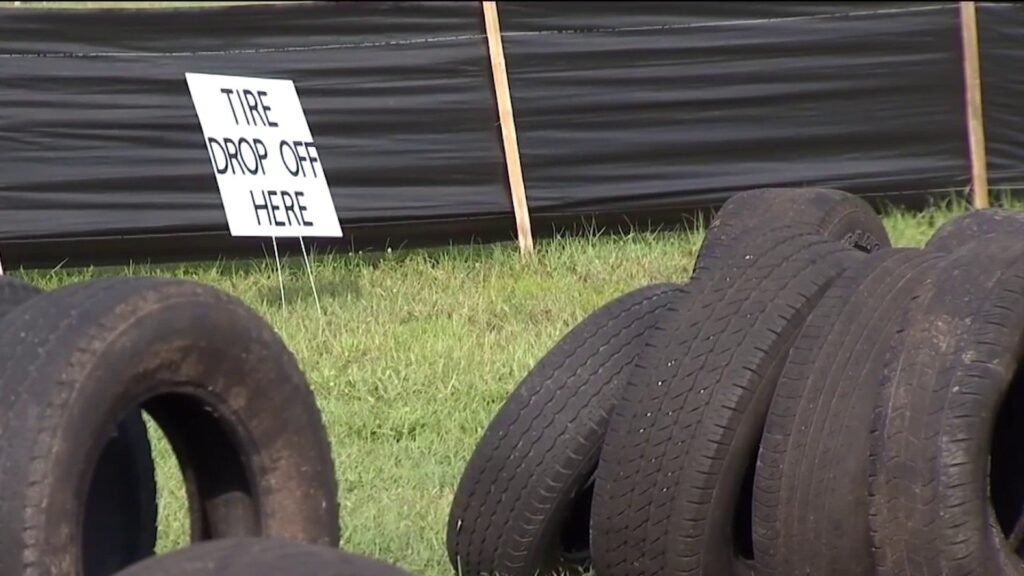 Free Tire Disposal in Brevard Curbs Mosquitoes: How It Works