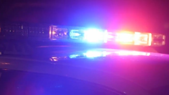 Lakeland Woman Arrested After Deadly Polk County Hit-and-Run